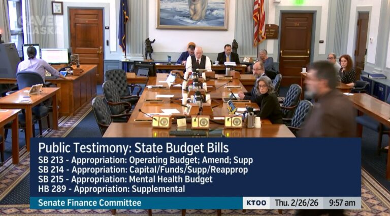 Public Urge Robust Funding for Renewables, Survivor Services, Education and Infrastructure as Senate Finance Weighs Budgets and Supplemental