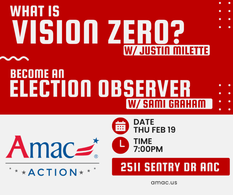 Feb 19 Opportunity to Learn about “Vision Zero” and Election Observers