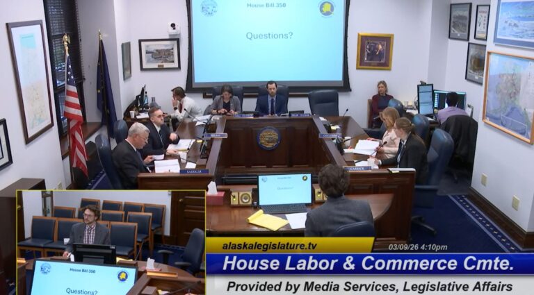 House Labor and Commerce Debates HB 350: Proposed Income Tax on High-Revenue S-Corps and LLCs