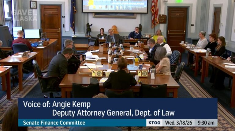 Senate Finance Committee Scrutinizes Court Capacity and Tax Proposals