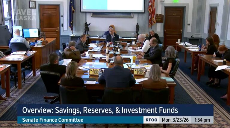 Senate Finance Committee Reviews Strong Treasury Performance