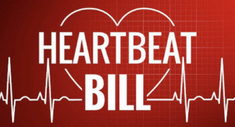 Sarah Vance Advocates for the Preborn with Her Alaska Heartbeat Act