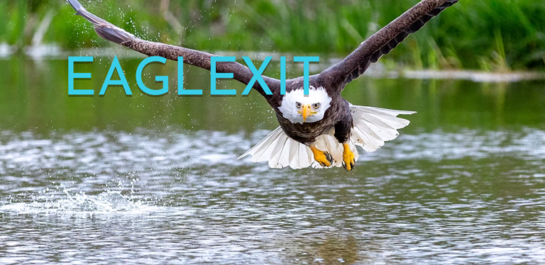 Opinion: Eaglexit— A Civic Conversation, Not a Political Campaign