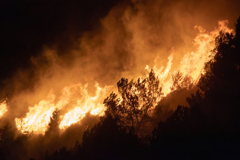 Public Comment Open for Proposed Repeal of Roadless Rule Impeding Forest Management and Wildfire Prevention