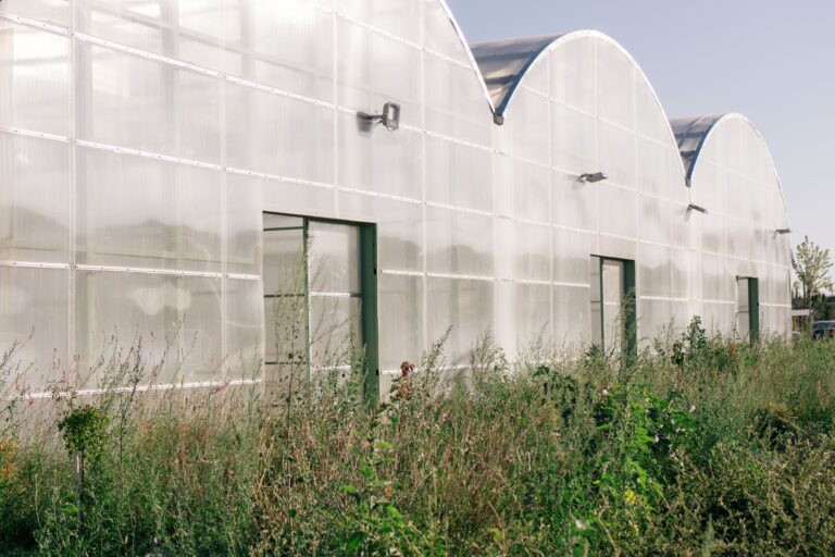 Alaska’s 2026 Farm Family of the Year Award Goes to Anchor Point Greenhouse